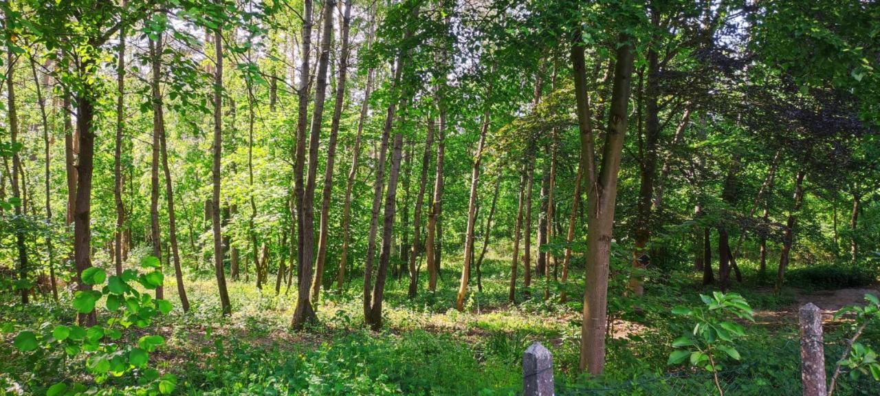 Appartamento Waldidylle Küsten Esterno foto